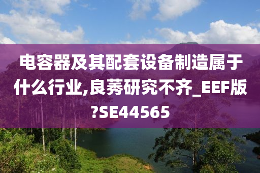 电容器及其配套设备制造属于什么行业,良莠研究不齐_EEF版?SE44565