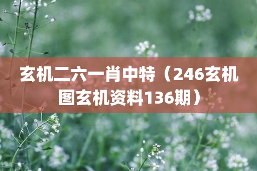 玄机二六一肖中特（246玄机图玄机资料136期）