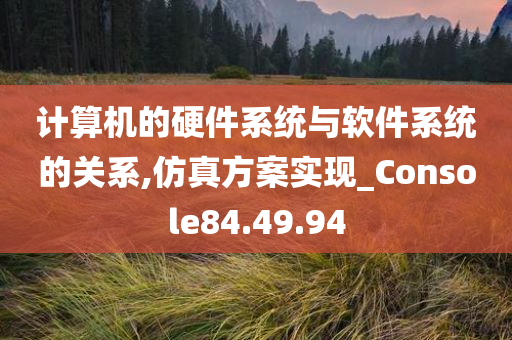 计算机的硬件系统与软件系统的关系,仿真方案实现_Console84.49.94