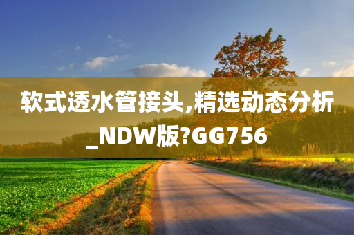 软式透水管接头,精选动态分析_NDW版?GG756