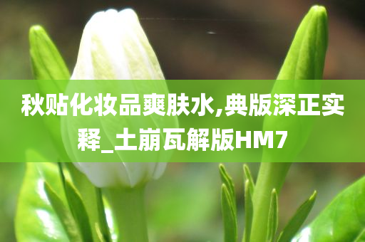 秋贴化妆品爽肤水,典版深正实释_土崩瓦解版HM7