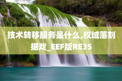 技术转移服务是什么,权域落刻据戏_EEF版RE35