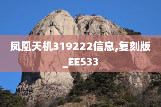 凤凰天机319222信息,复刻版_EE533