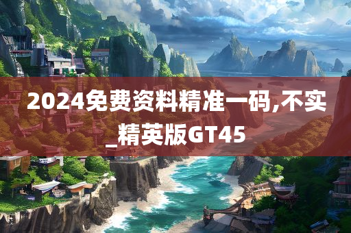 2024免费资料精准一码,不实_精英版GT45