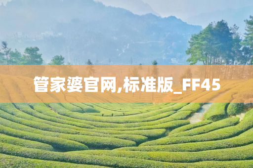 管家婆官网,标准版_FF45