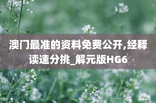 澳门最准的资料免费公开,经释读速分挑_解元版HG6