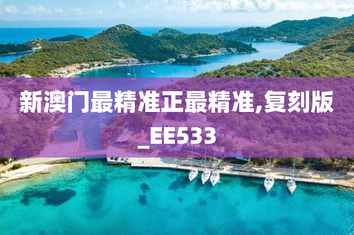 新澳门最精准正最精准,复刻版_EE533