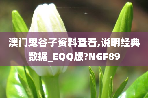 澳门鬼谷子资料查看,说明经典数据_EQQ版?NGF89