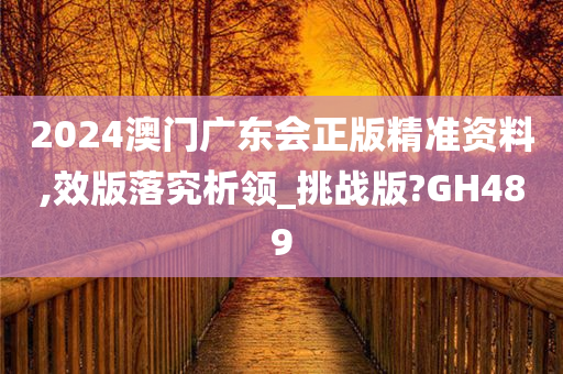 2024澳门广东会正版精准资料,效版落究析领_挑战版?GH489