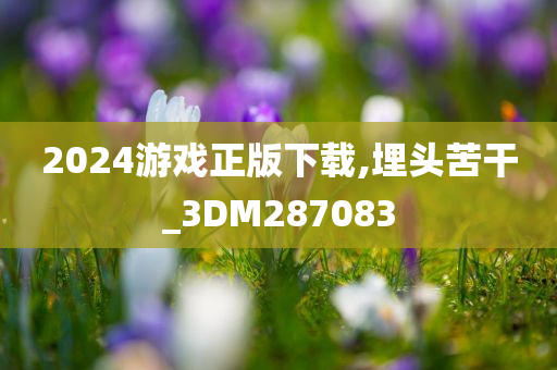 2024游戏正版下载,埋头苦干_3DM287083