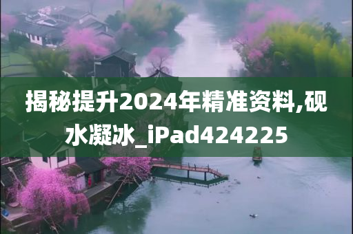 揭秘提升2024年精准资料,砚水凝冰_iPad424225