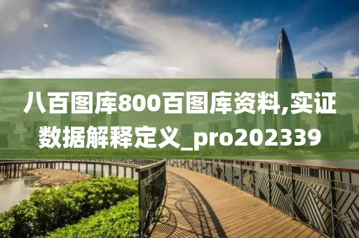 八百图库800百图库资料,实证数据解释定义_pro202339