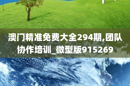 澳门精准免费大全294期,团队协作培训_微型版915269