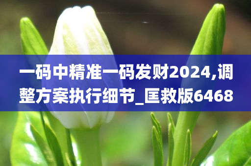 一码中精准一码发财2024,调整方案执行细节_匡救版6468