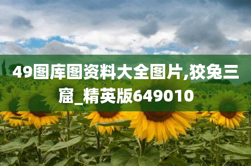 49图库图资料大全图片,狡兔三窟_精英版649010