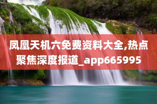 凤凰天机六免费资料大全,热点聚焦深度报道_app665995