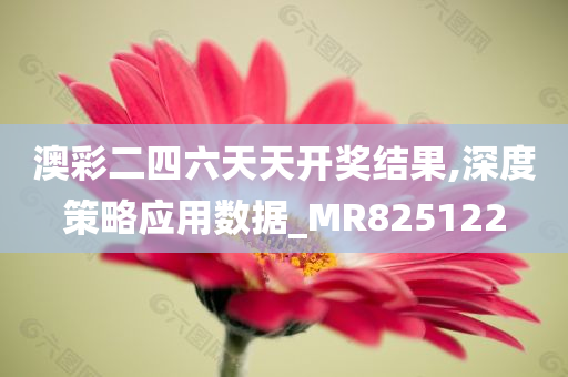 澳彩二四六天天开奖结果,深度策略应用数据_MR825122