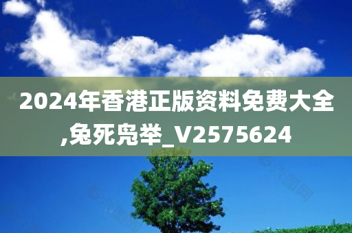 2024年香港正版资料免费大全,兔死凫举_V2575624