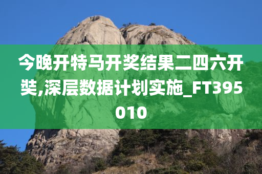 今晚开特马开奖结果二四六开奘,深层数据计划实施_FT395010