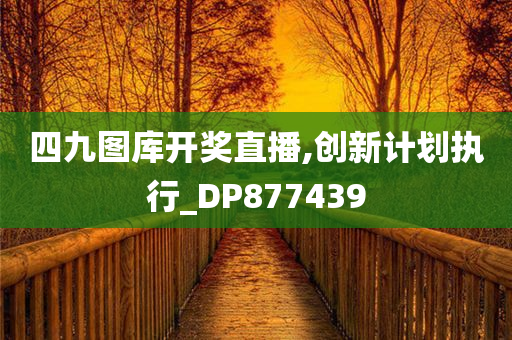 四九图库开奖直播,创新计划执行_DP877439