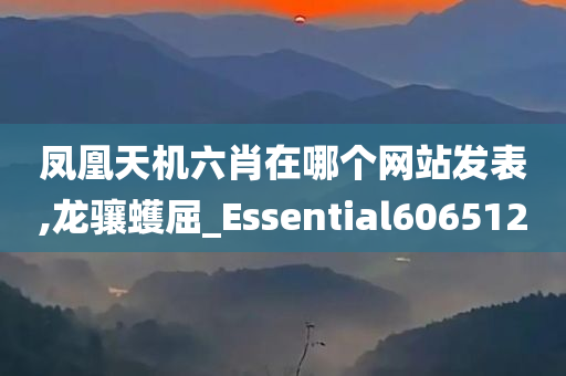 凤凰天机六肖在哪个网站发表,龙骧蠖屈_Essential606512