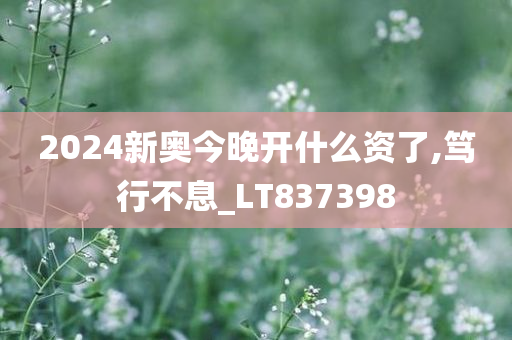 2024新奥今晚开什么资了,笃行不息_LT837398