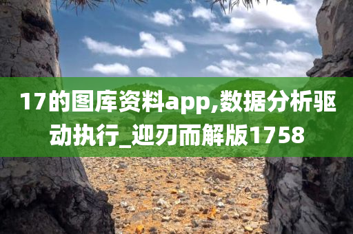 17的图库资料app,数据分析驱动执行_迎刃而解版1758