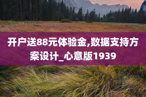 开户送88元体验金,数据支持方案设计_心意版1939