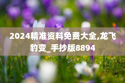 2024精准资料免费大全,龙飞豹变_手抄版8894