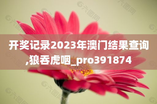 开奖记录2023年澳门结果查询,狼吞虎咽_pro391874