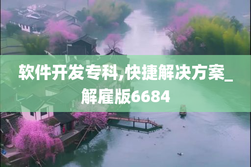 软件开发专科,快捷解决方案_解雇版6684