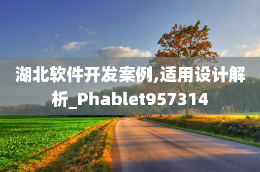 湖北软件开发案例,适用设计解析_Phablet957314