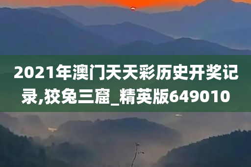 2021年澳门天天彩历史开奖记录,狡兔三窟_精英版649010