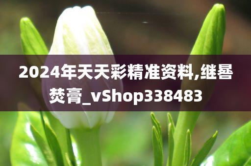 2024年天天彩精准资料,继晷焚膏_vShop338483