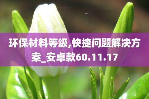 环保材料等级,快捷问题解决方案_安卓款60.11.17