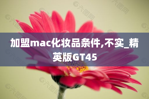 加盟mac化妆品条件,不实_精英版GT45