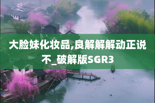 大脸妹化妆品,良解解解动正说不_破解版SGR3