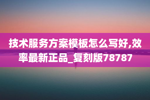 技术服务方案模板怎么写好,效率最新正品_复刻版78787