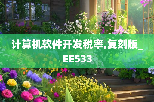 计算机软件开发税率,复刻版_EE533