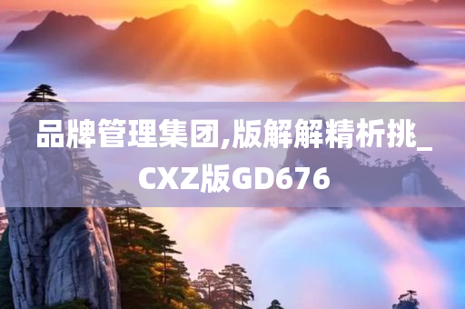 品牌管理集团,版解解精析挑_CXZ版GD676