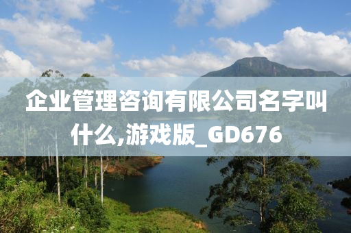 企业管理咨询有限公司名字叫什么,游戏版_GD676