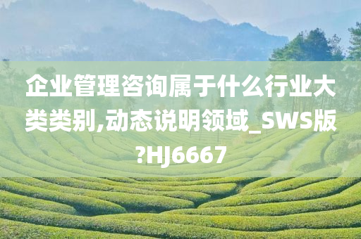 企业管理咨询属于什么行业大类类别,动态说明领域_SWS版?HJ6667