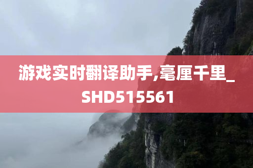 游戏实时翻译助手,毫厘千里_SHD515561