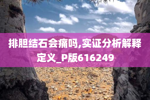 排胆结石会痛吗,实证分析解释定义_P版616249