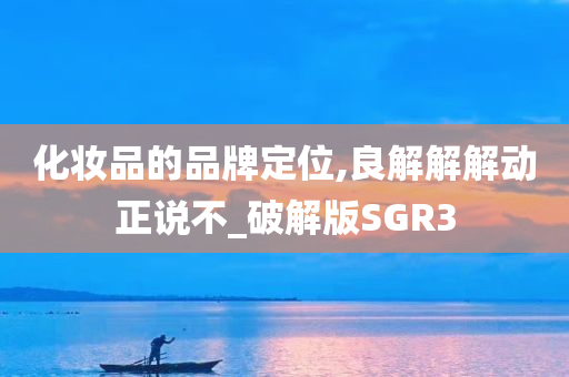 化妆品的品牌定位,良解解解动正说不_破解版SGR3