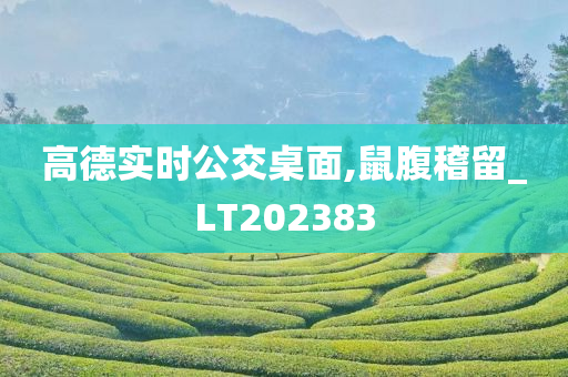 高德实时公交桌面,鼠腹稽留_LT202383