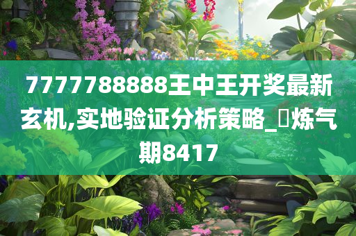 7777788888王中王开奖最新玄机,实地验证分析策略_‌炼气期8417