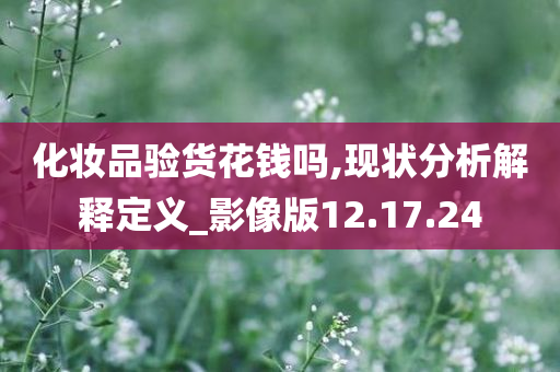 化妆品验货花钱吗,现状分析解释定义_影像版12.17.24