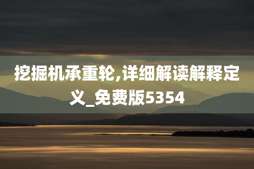 挖掘机承重轮,详细解读解释定义_免费版5354