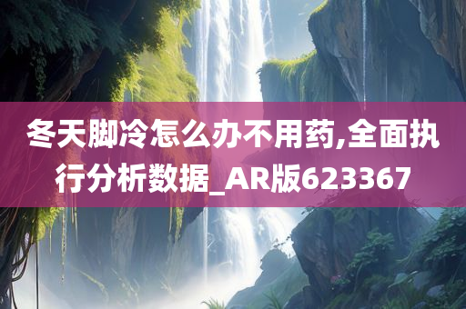 冬天脚冷怎么办不用药,全面执行分析数据_AR版623367